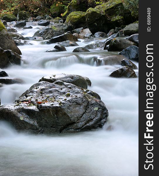 The Stawamus River in Squamish, BC flows through mossy boulders. The Stawamus River in Squamish, BC flows through mossy boulders.