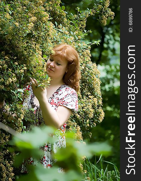 The Girl Near A Blossoming Bush