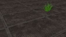 Ecology Concept, Grass Sprouted Through The Gray Plate Stock Images