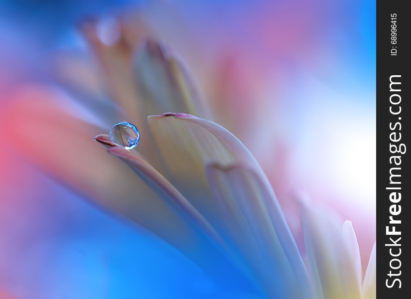 Flower with Waterdrop on Blue Colorful Background. Flower with Waterdrop on Blue Colorful Background...