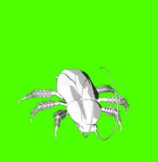Cockroach 2 Royalty Free Stock Photo Cockroach 2 Royalty Free Stock Photo