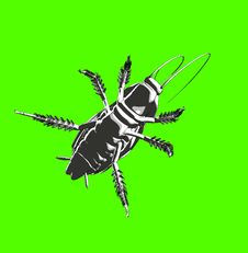 Cockroach 4 Stock Photo Cockroach 4 Stock Photo