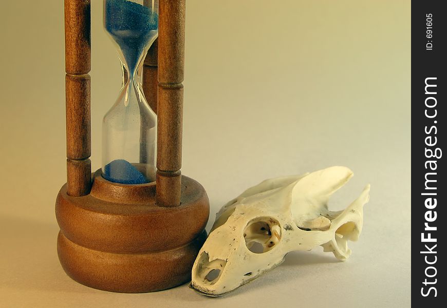 Still life with sand-glass and tortoise skull. Still life with sand-glass and tortoise skull