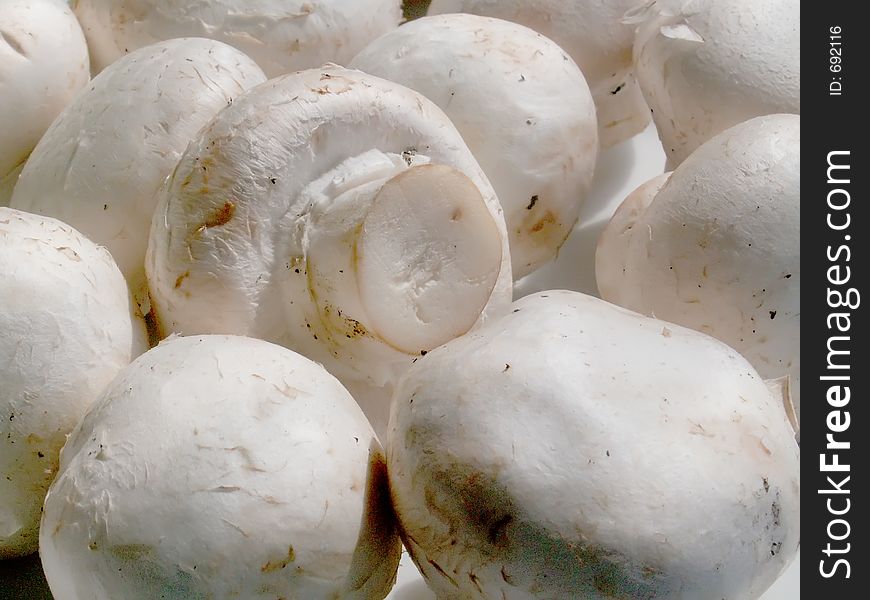 Mushrooms over white