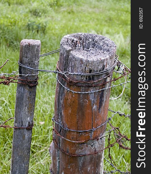 This image was taken west of byron bay at a small paddock on the way home from a photo session at a nearby rain forrest, northern N.S.W., Australia. This image was taken west of byron bay at a small paddock on the way home from a photo session at a nearby rain forrest, northern N.S.W., Australia