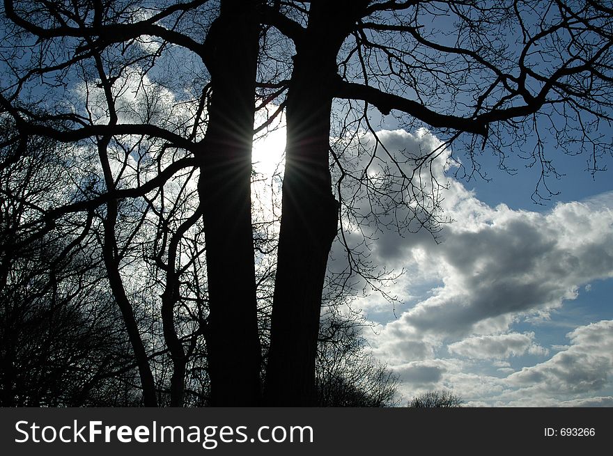 Tree silhouette against blue sky and clouds. Tree silhouette against blue sky and clouds