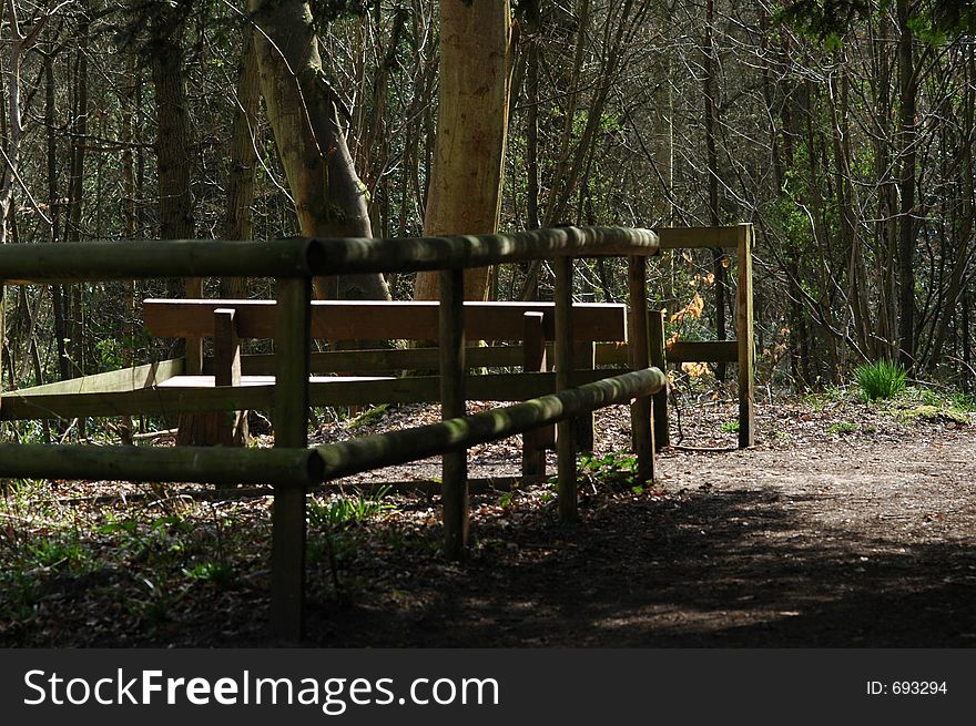 Forest wildlife public viewing area. Forest wildlife public viewing area