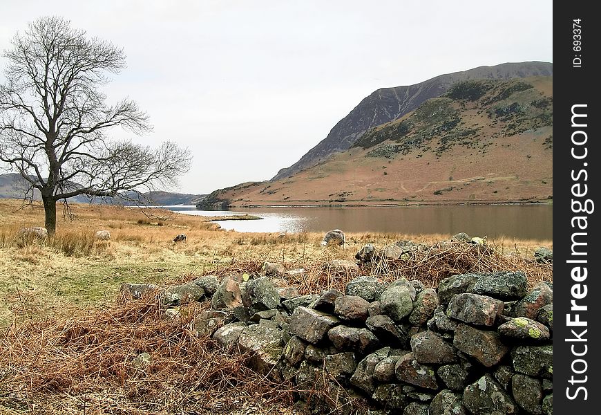 View of Crummock Water, Cumbria, UK. View of Crummock Water, Cumbria, UK