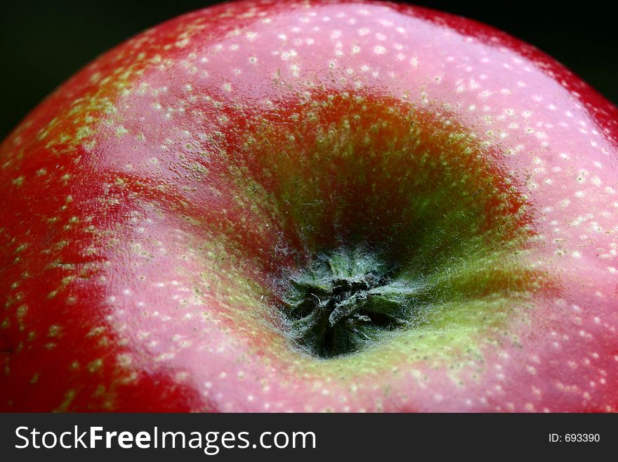 Detail of a bright red apple with focus on the flower and on the fruit's fine texture. Detail of a bright red apple with focus on the flower and on the fruit's fine texture