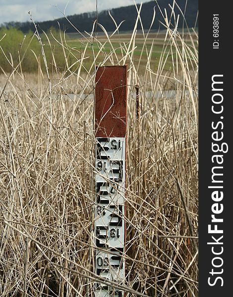 Water level metering gauge in a reed field