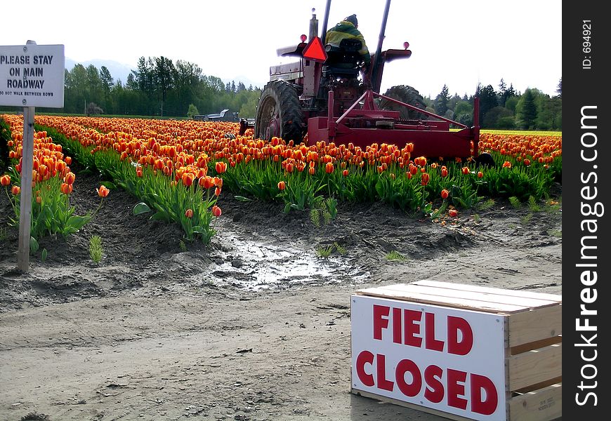 Field Closed