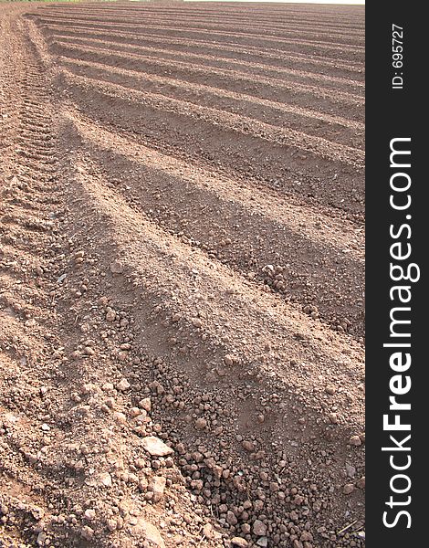 Ploughed furrows in farmers potato field. Ploughed furrows in farmers potato field