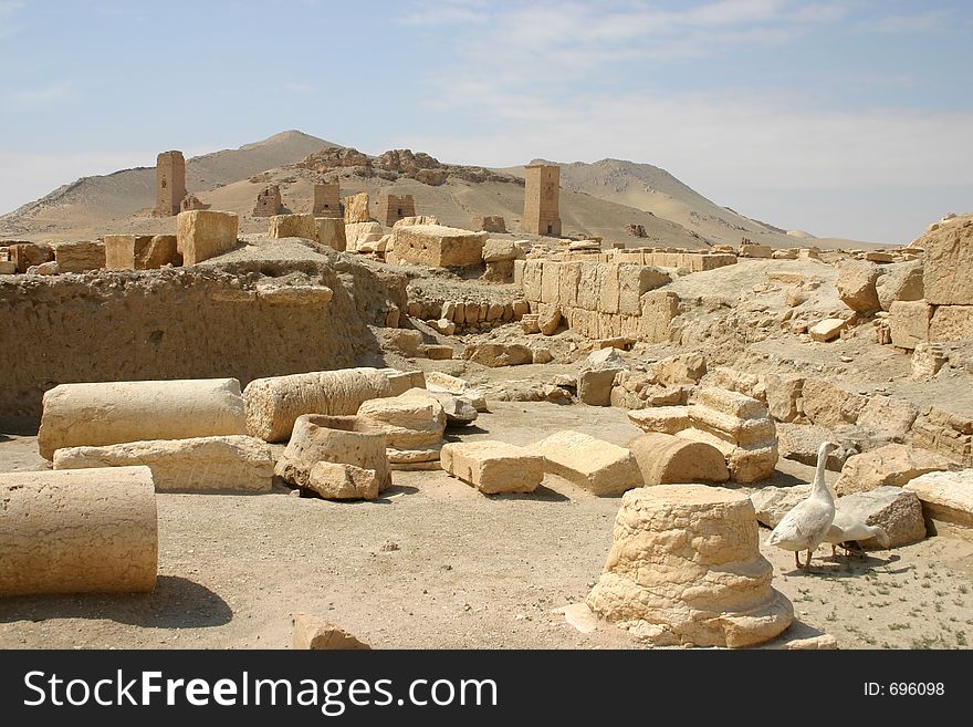 Ruins of Palmyra. Ruins of Palmyra