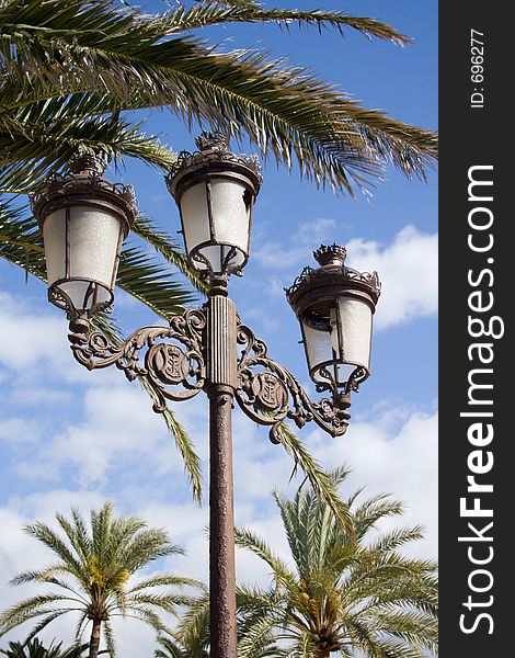 Palm trees and iron lamp post. Palm trees and iron lamp post