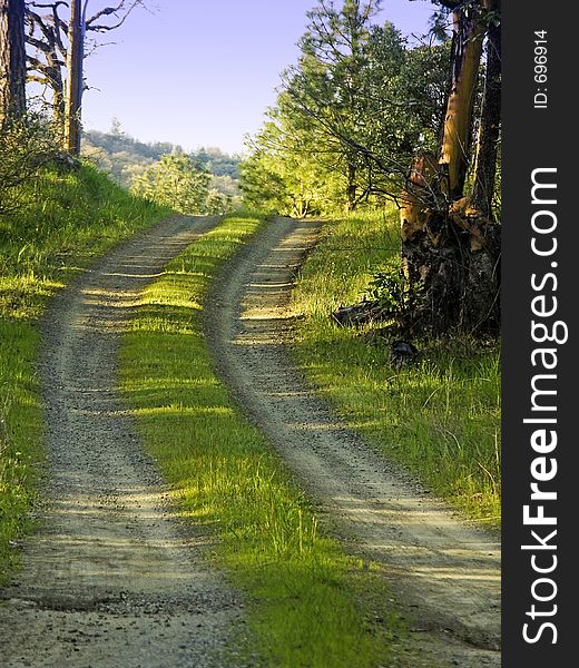 Country Dirt Road
