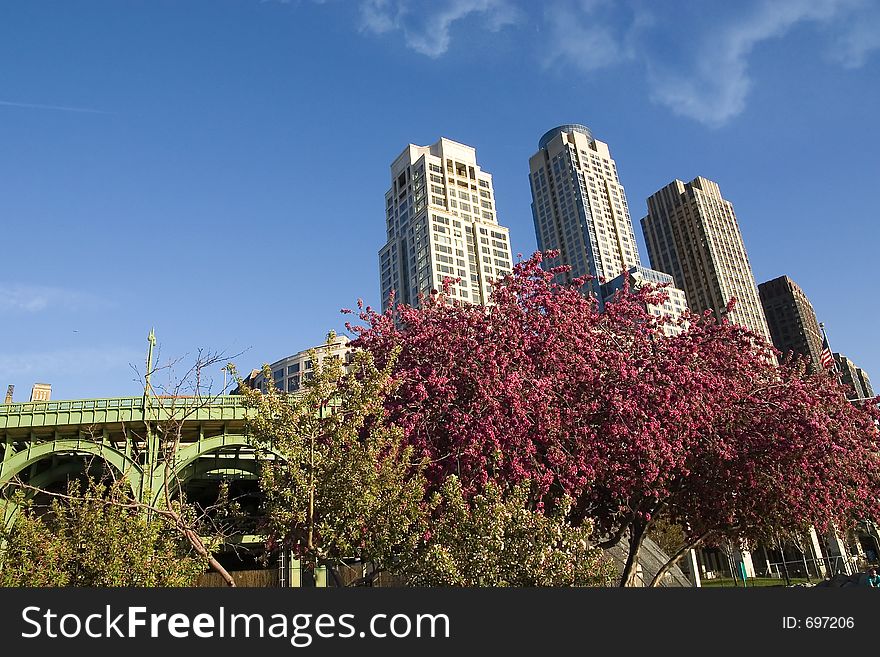 Residential buildings, highway, park in blossom - New York. Residential buildings, highway, park in blossom - New York