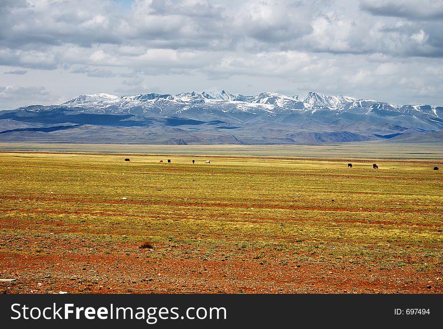 Altay mountains.