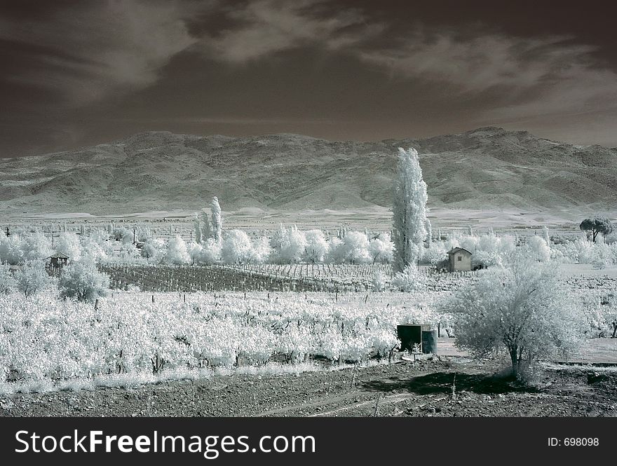 Infrared landscape. Infrared landscape