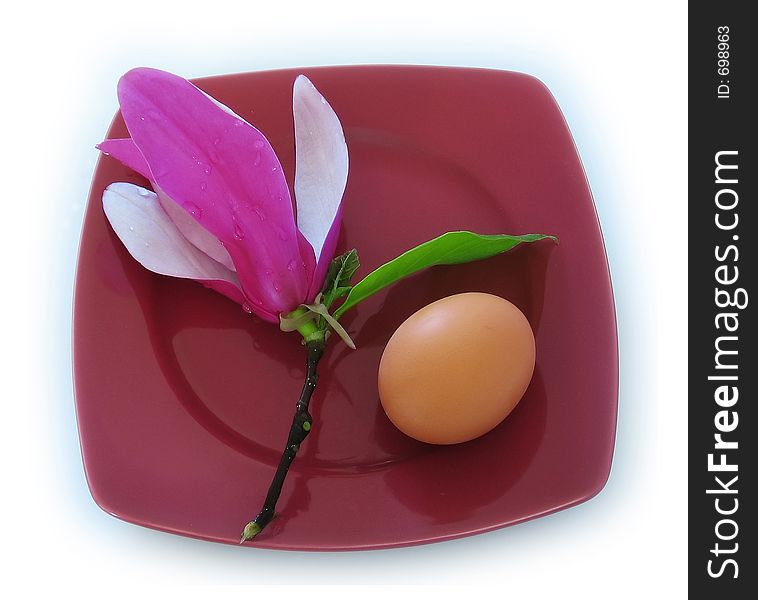 Magnolia flower and egg on a plate. Magnolia flower and egg on a plate