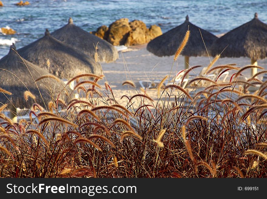 Beach in los cabos, mexico