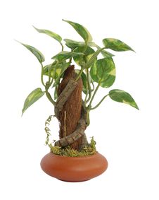 Artificial Plant Stock Image Artificial Plant Stock Image