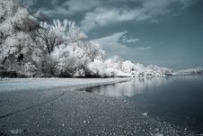 Infrared River Shore Stock Images Infrared River Shore Stock Images