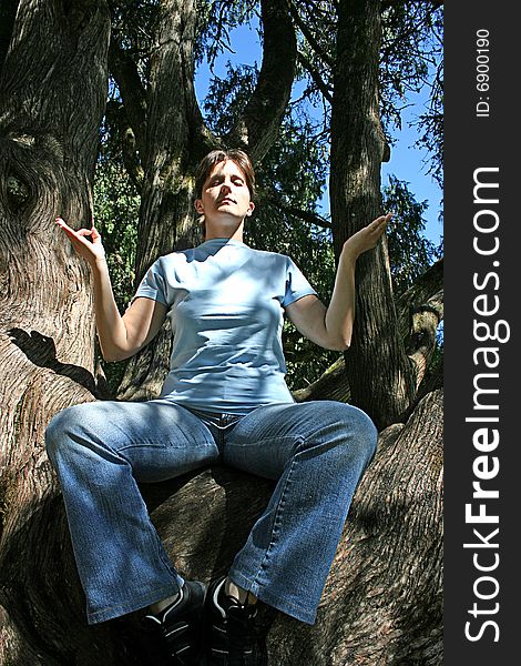 Woman meditating in a huge tree in the forest