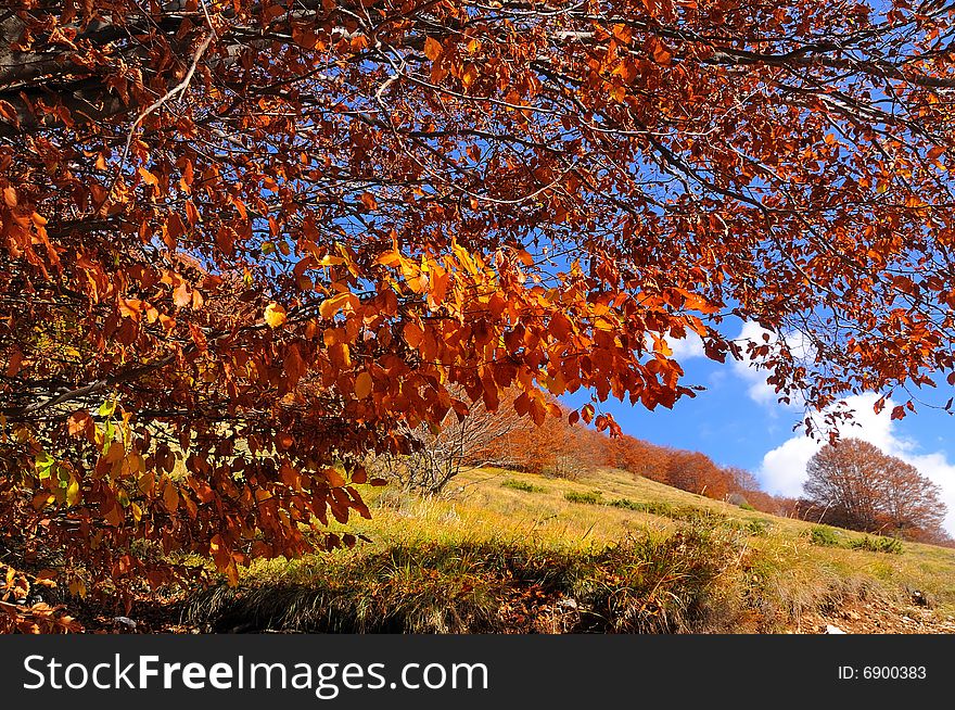 Abruzzo Mountain landscape in Central Italy during Fall season. Abruzzo Mountain landscape in Central Italy during Fall season.