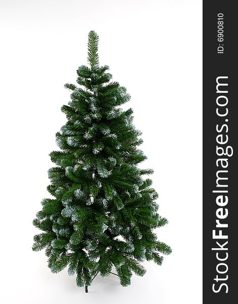 Christmas tree without any decorations