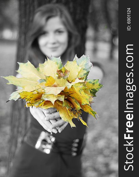 Young happy beautiful woman with yellow maple leaves. Young happy beautiful woman with yellow maple leaves