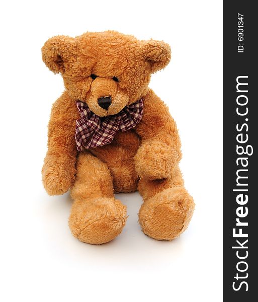 Shot of a teddy bear on white background