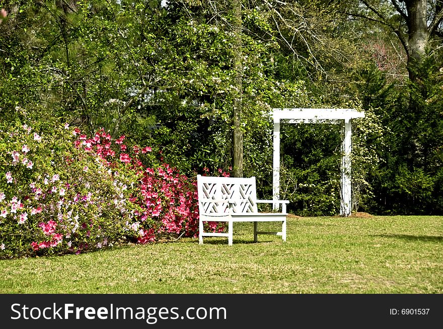 A garden bench surrounded by spring azaleas