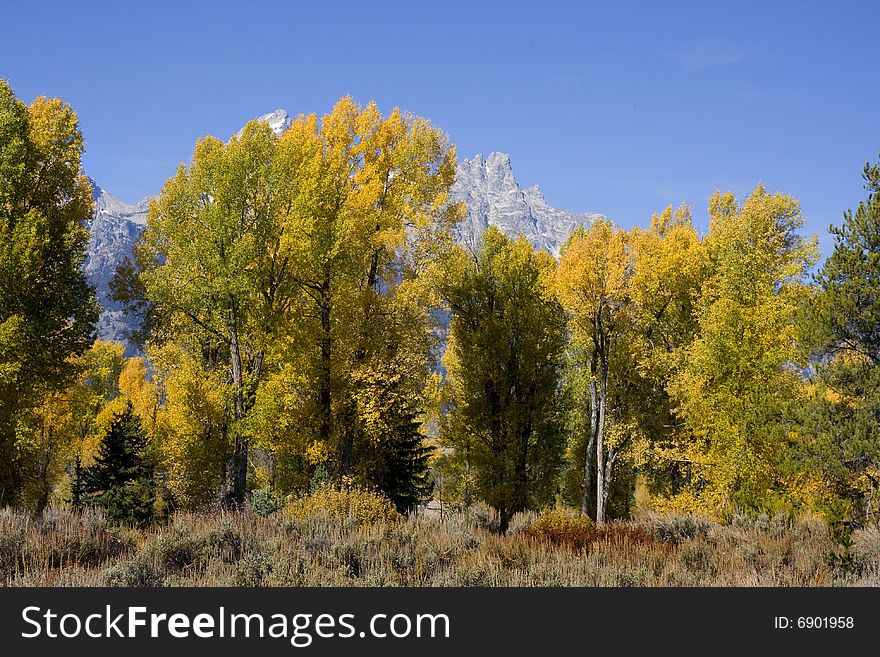 Grand Teton National Park in the Fall. Grand Teton National Park in the Fall