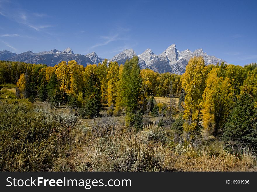 Grand Teton National Park Iinthe fall. Grand Teton National Park Iinthe fall