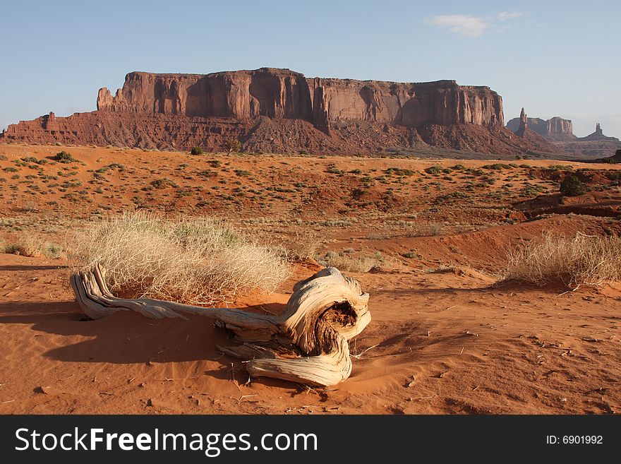 Monument valley in Utah USA showing desert and rocks with dead tree. Monument valley in Utah USA showing desert and rocks with dead tree