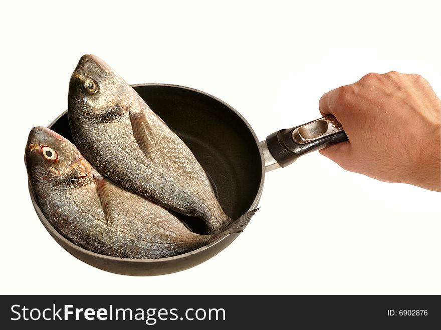 Two dorada fishes on pan held by human hand (isolated on white). Two dorada fishes on pan held by human hand (isolated on white)