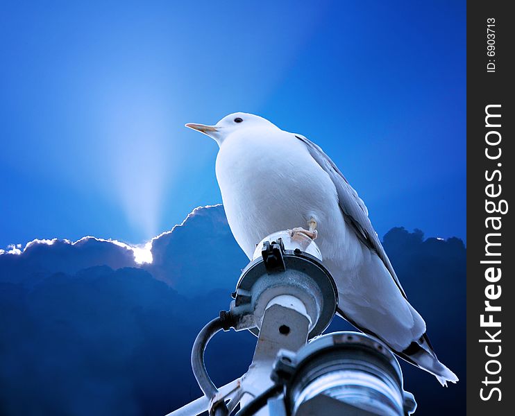 Composition with a gull sitting on the mast and looking down, at foreground, and the blue sky with clouds at background. . Composition with a gull sitting on the mast and looking down, at foreground, and the blue sky with clouds at background.