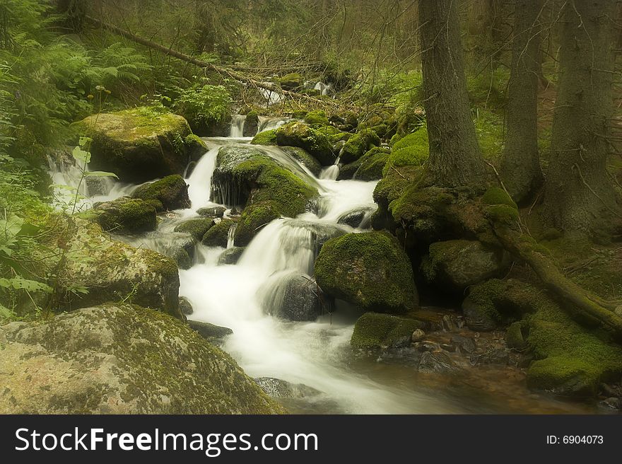 The mountain stream with cascades in a forest. The mountain stream with cascades in a forest