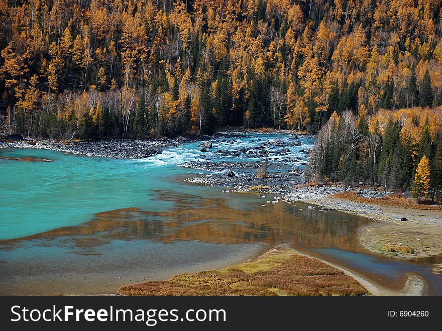 Golden forests and blue green river in autumn