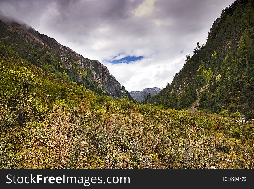 Landscape Of China