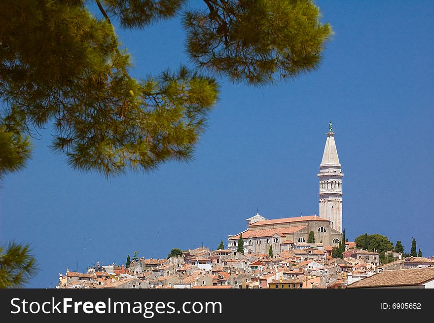 Photo of old Rovinj with pine tree branch at the foreground