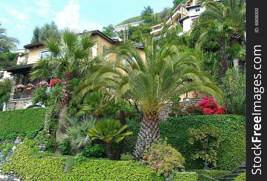 Lush tropical foliage landscapein Italy