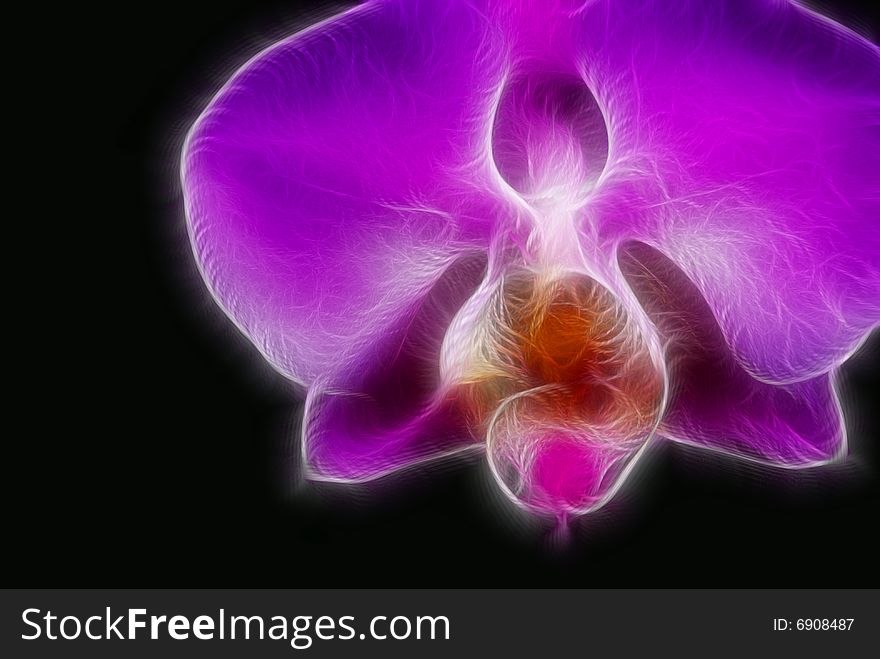 Bright magenta orchid with fractal effect. Bright magenta orchid with fractal effect.