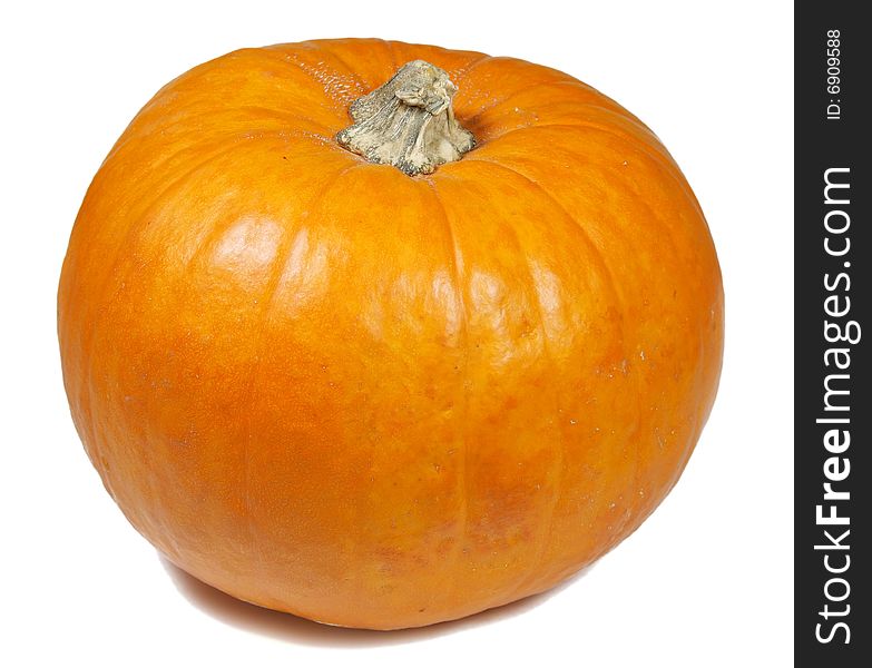 A fall pumpkin isolated on a white background