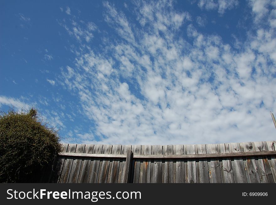 Looking up at the sky from a suburban backyard with a fence and bush. Looking up at the sky from a suburban backyard with a fence and bush
