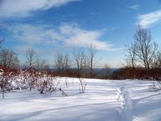 Winter Landscape Royalty Free Stock Images