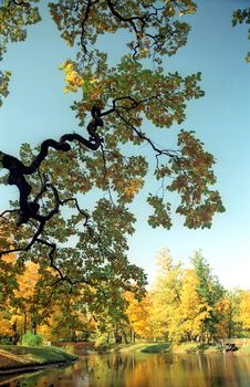 Picturesque View Of The Autumn Pond Royalty Free Stock Photo Picturesque View Of The Autumn Pond Royalty Free Stock Photo