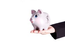 Holding Piggy Bank Stock Image