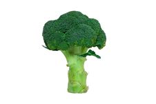 Broccoli Royalty Free Stock Photography Broccoli Royalty Free Stock Photography