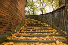 Stairs Covered By Leaves In Autumn Royalty Free Stock Photos Stairs Covered By Leaves In Autumn Royalty Free Stock Photos
